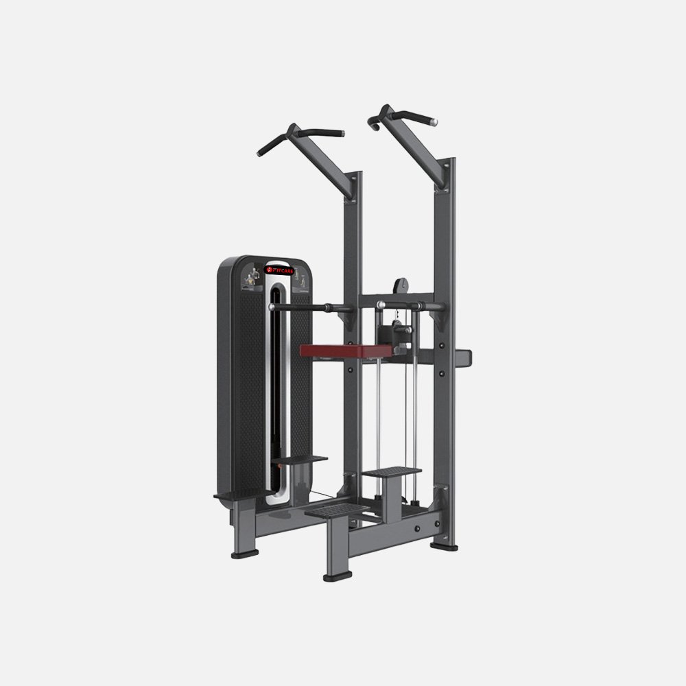 FC-2008 ASSIST CHIN DIP