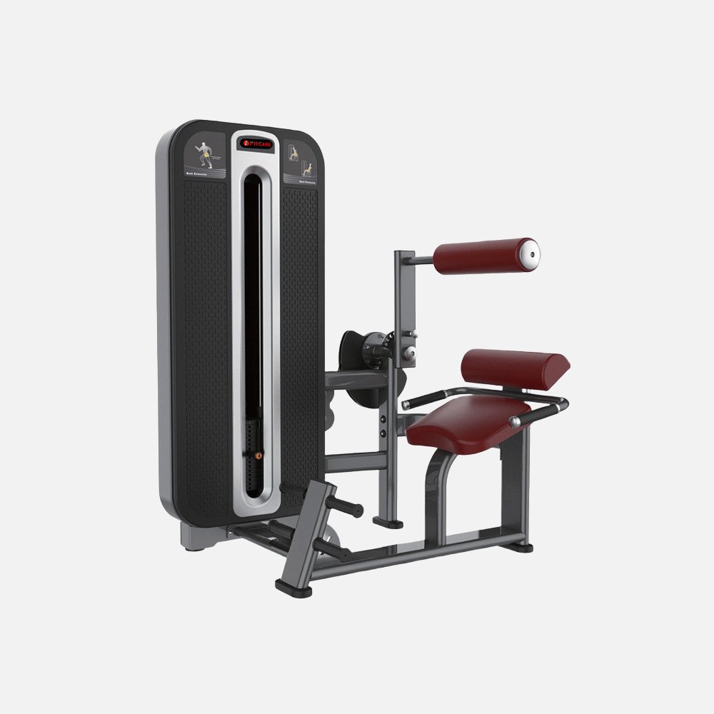 FC-2019 BACK EXTENSION