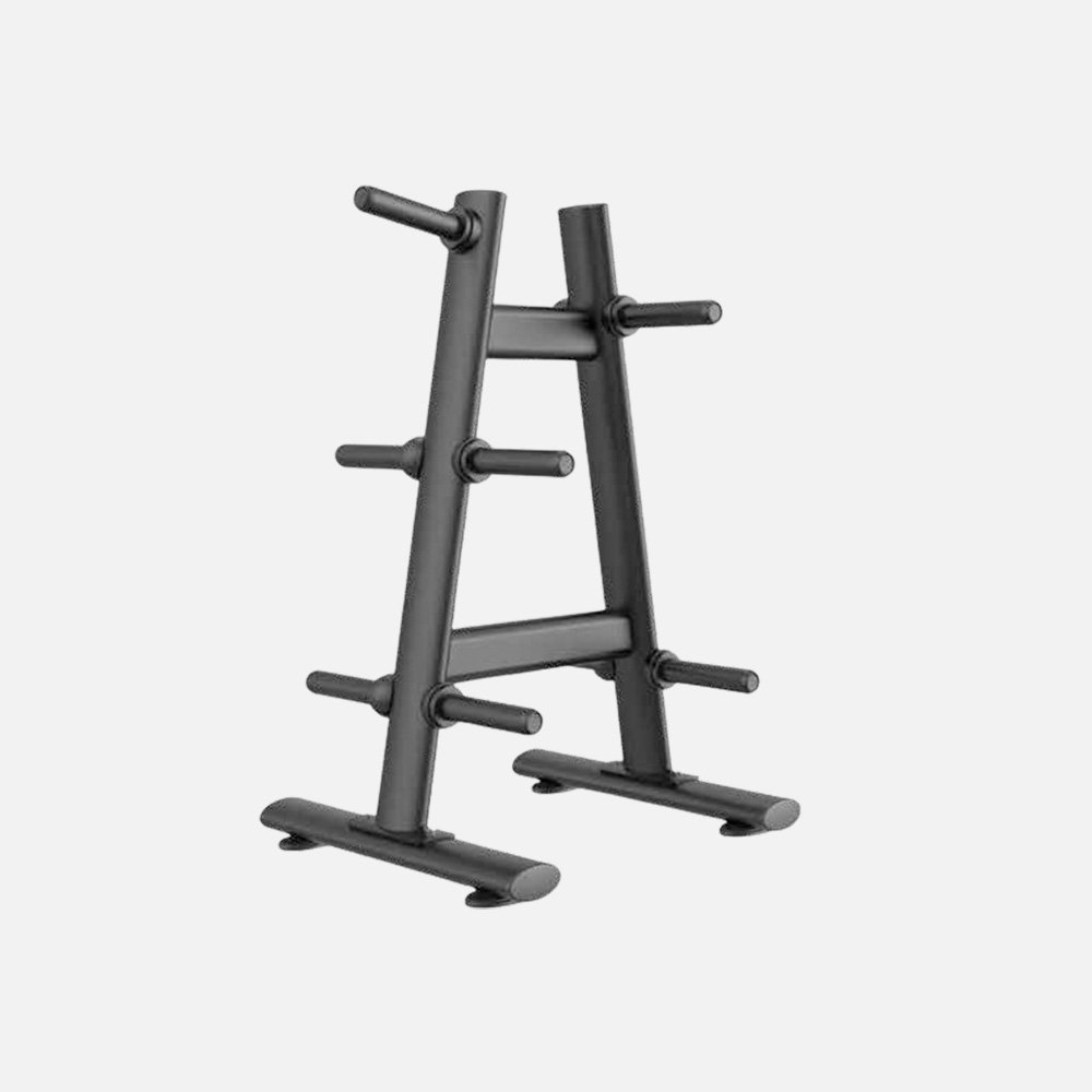 FC-300FC-3041 WEIGHT PLATE TREE