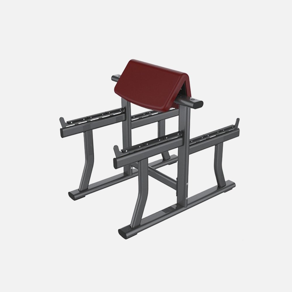 PREACHER CURL BENCH-5049
